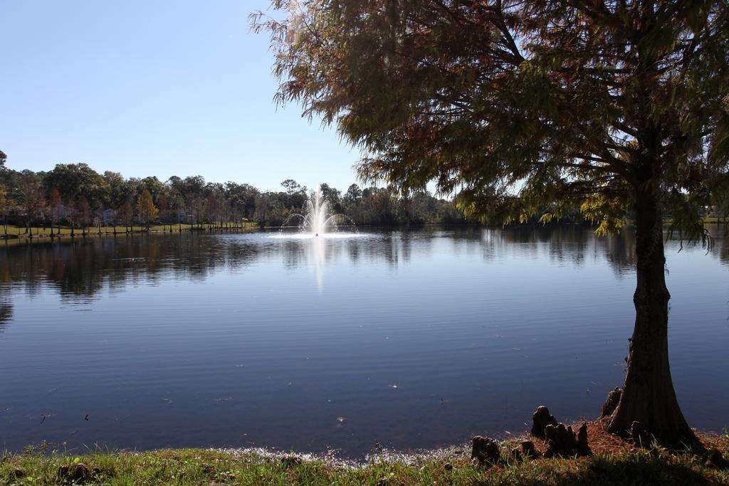 Sherwood Forest Cottage 6 Kissimmee Bagian luar foto